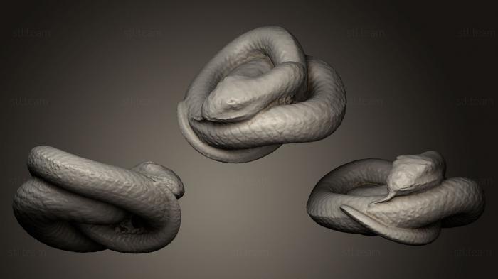 3D model Coiled snake (STL)